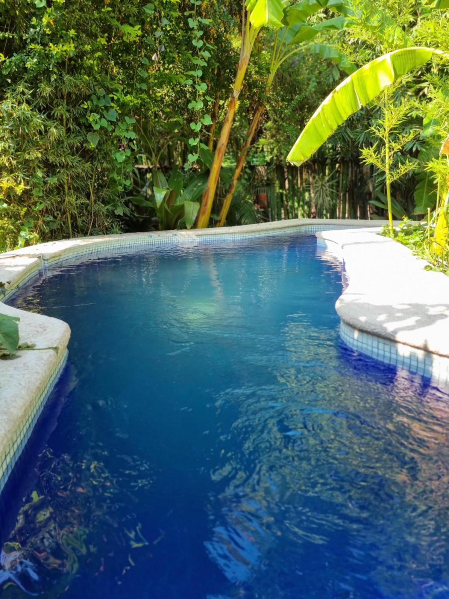 Eco Hotel Tahawi Ajijic Exteriör bild