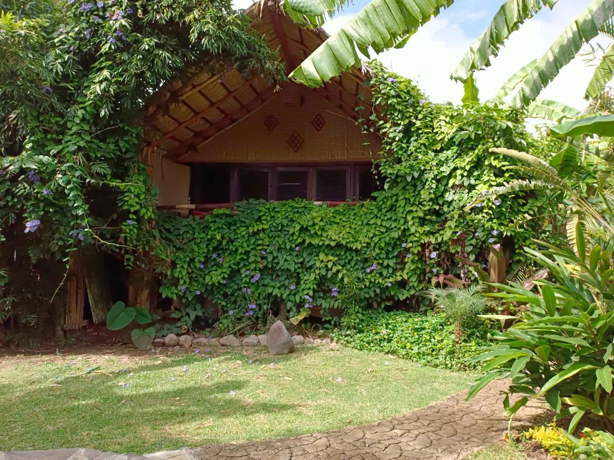 Eco Hotel Tahawi Ajijic Exteriör bild